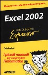 Excel 2002 libro