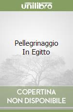 Pellegrinaggio In Egitto libro