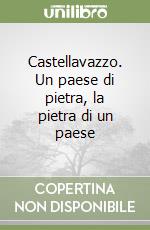 Castellavazzo. Un paese di pietra, la pietra di un paese libro