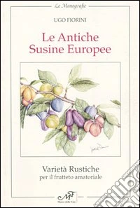 Il libro di zaffiro libro
