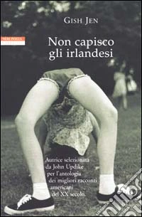 Non capisco gli irlandesi libro