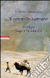 Il cammello battriano. In viaggio lungo la via della seta libro