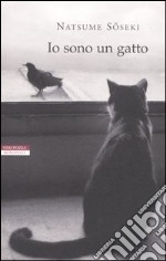 Io sono un gatto libro