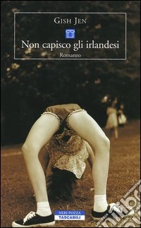 Non capisco gli irlandesi libro