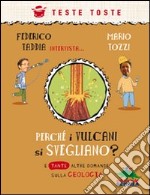 Perché i vulcani si svegliano? E tante altre domande sulla geologia libro