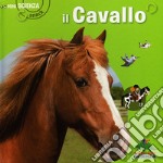 Il cavallo libro