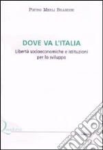 Dove va l'Italia. Libertà socioeconomiche e istituzioni per lo sviluppo