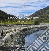 Pascolo vagante-Paturage nomade. 2004-2014. Ediz. italiana e francese libro