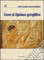 Corso di egiziano geroglifico libro