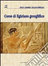 Corso di egiziano geroglifico libro