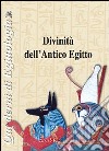 Divinità dell'antico Egitto. Ediz. illustrata libro