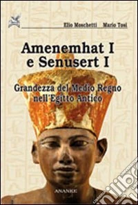 Amenemhat I e Senusert I. La nascita del Medio Regno