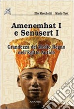 Amenemhat I e Senusert I. La nascita del Medio Regno libro