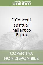 I Concetti spirituali nell'antico Egitto libro