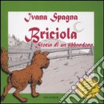 Briciola. Storia di un abbandono. Ediz. illustrata. Con CD Audio libro