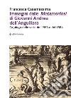 Immagini dalle «Metamorfosi» di Giovanni Andrea dell'Anguillara. Catalogo delle serie del 1563 e del 1584 libro