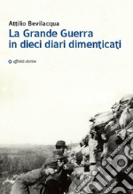 La Grande Guerra in dieci diari dimenticati libro