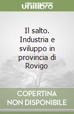 Il salto. Industria e sviluppo in provincia di Rovigo