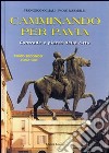 Camminando per Pavia. Vol. 2: Zona sud libro di Ogliari Francesco Marabelli Paolo