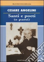 Santi e poeti (e paesi) libro