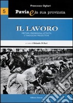 Pavia e la sua provincia. Vol. 5: Il lavoro. Mestieri, professioni, attività e tradizioni produttive libro