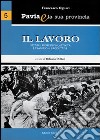 Pavia e la sua provincia. Vol. 5: Il lavoro. Mestieri, professioni, attività e tradizioni produttive libro