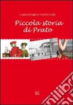 Piccola storia di Prato libro