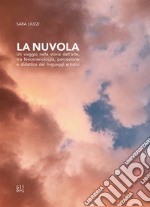 La nuvola. Un viaggio nella storia dell'arte, tra fenomenologia, percezione e didattica dei linguaggi artistici libro