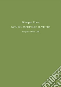Non so fermare il vento