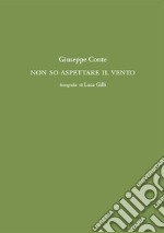 Non so fermare il vento libro