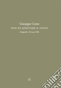 Non so aspettare il vento