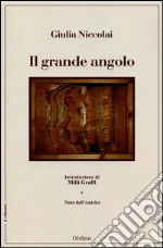 Il grande angolo libro