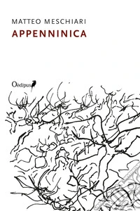 Appenninica libro