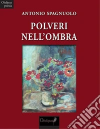 Polveri nell'ombra