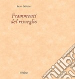 Frammenti del risveglio libro