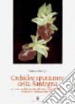 Orchidee spontanee della Sardegna. Origine, morfologia, riproduzione, impollinazione, ibridazione, anomalie, fioritura libro