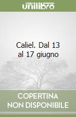 Caliel. Dal 13 al 17 giugno libro