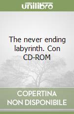 The never ending labyrinth. Con CD-ROM libro