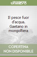 Il pesce fuor d'acqua. Gaetano in mongolfiera