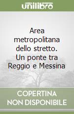 Area metropolitana dello stretto. Un ponte tra Reggio e Messina libro