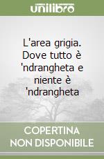 L'area grigia. Dove tutto è 'ndrangheta e niente è 'ndrangheta libro