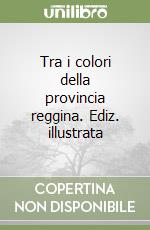 Tra i colori della provincia reggina. Ediz. illustrata