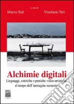 Alchimie digitali. Linguaggi, estetiche e pratiche video-artistiche al tempo dell'immagine numerica