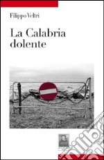 La Calabria dolente libro