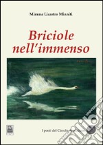 Briciole nell'immenso libro