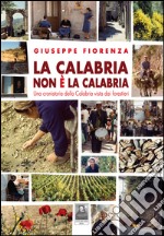 La Calabria non è la Calabria. Una cronistoria della Calabria vista dai forestieri libro