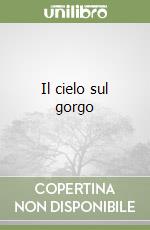 Il cielo sul gorgo libro