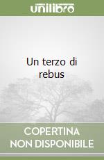 Un terzo di rebus libro