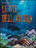 Le vie dell'ambra libro