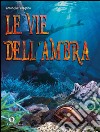 Le vie dell'ambra libro